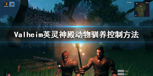 Valheim英灵神殿动物怎么控制？