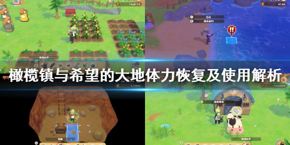 牧场物语橄榄镇与希望的大地体力怎么回复？