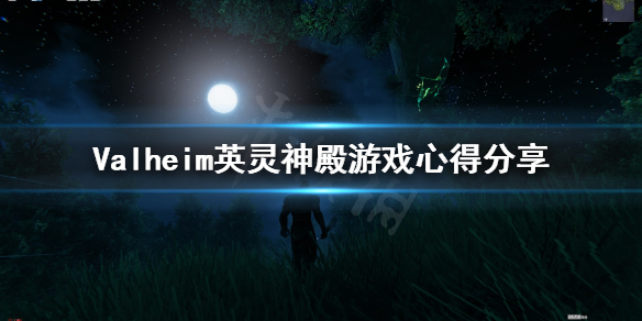 Valheim英灵神殿游戏技巧有哪些？