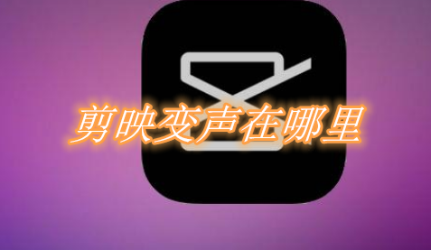 剪映变声在哪里设置？