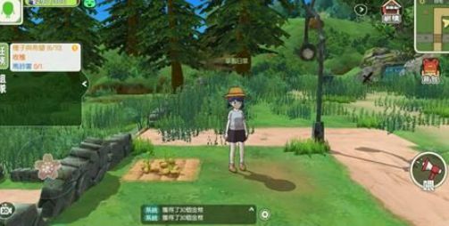 小森生活金鸡怎么抓