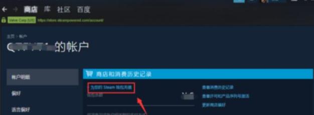 steam怎么充值任意金额