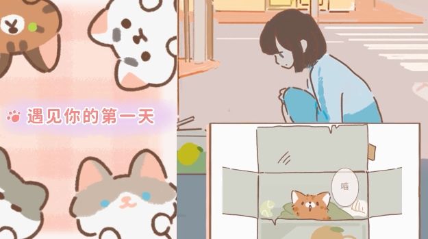 遇见你的猫怎么抓猫 高概率抓猫蛋技巧一览