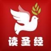 读圣经鸽子