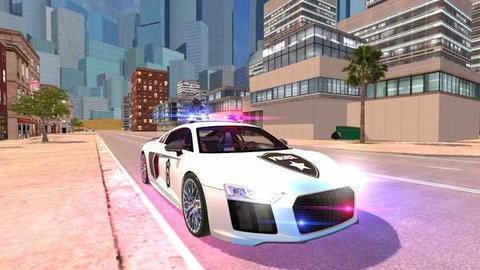 R8警察模拟器