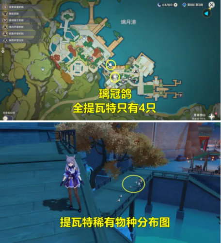 原神璃冠鸽在哪里捕捉 原神璃冠鸽地图位置
