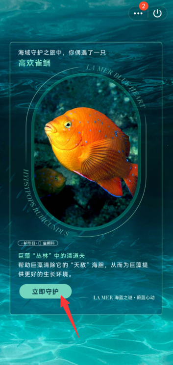 QQ守护海洋生物如何参与