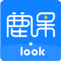 鹿课Look