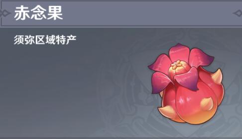 原神赤念果最佳快速采集路线攻略