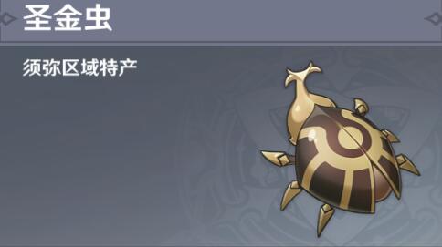 原神圣金虫最佳快速采集路线攻略