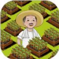 有块菜地2023
