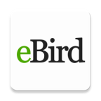 ebird app