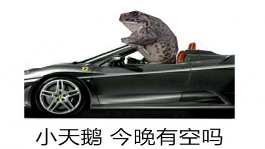 抖音小天鹅给个机会吧表情包图片大赏 v1.0