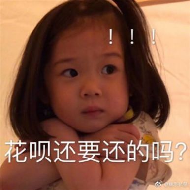 双十一吐槽图片动图大全免费分享 v1.0