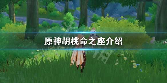 原神胡桃命之座是什么？