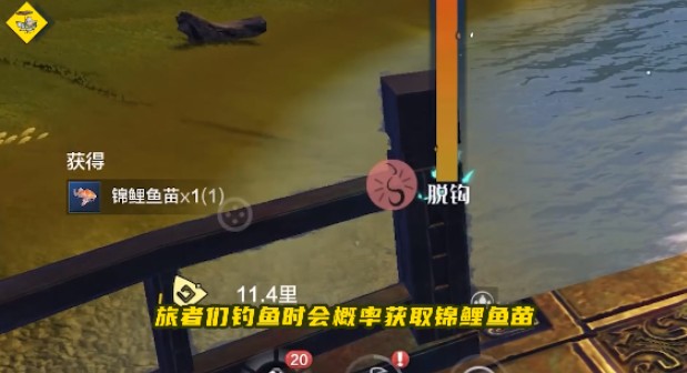 妄想山海锦鲤活动怎么玩？