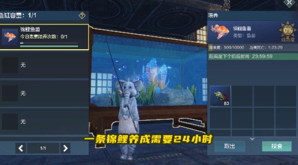 妄想山海锦鲤活动怎么玩？