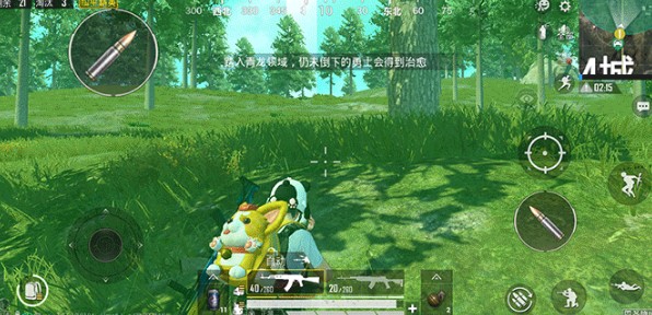 和平精英圣域圈是什么？