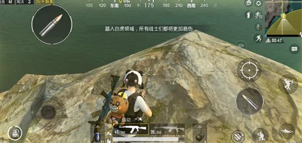 和平精英圣域圈是什么？